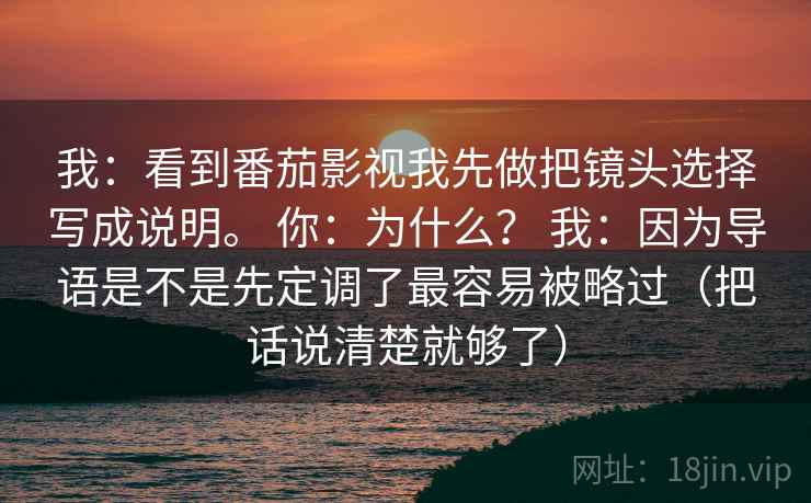 我：看到番茄影视我先做把镜头选择写成说明。 你：为什么？ 我：因为导语是不是先定调了最容易被略过（把话说清楚就够了）
